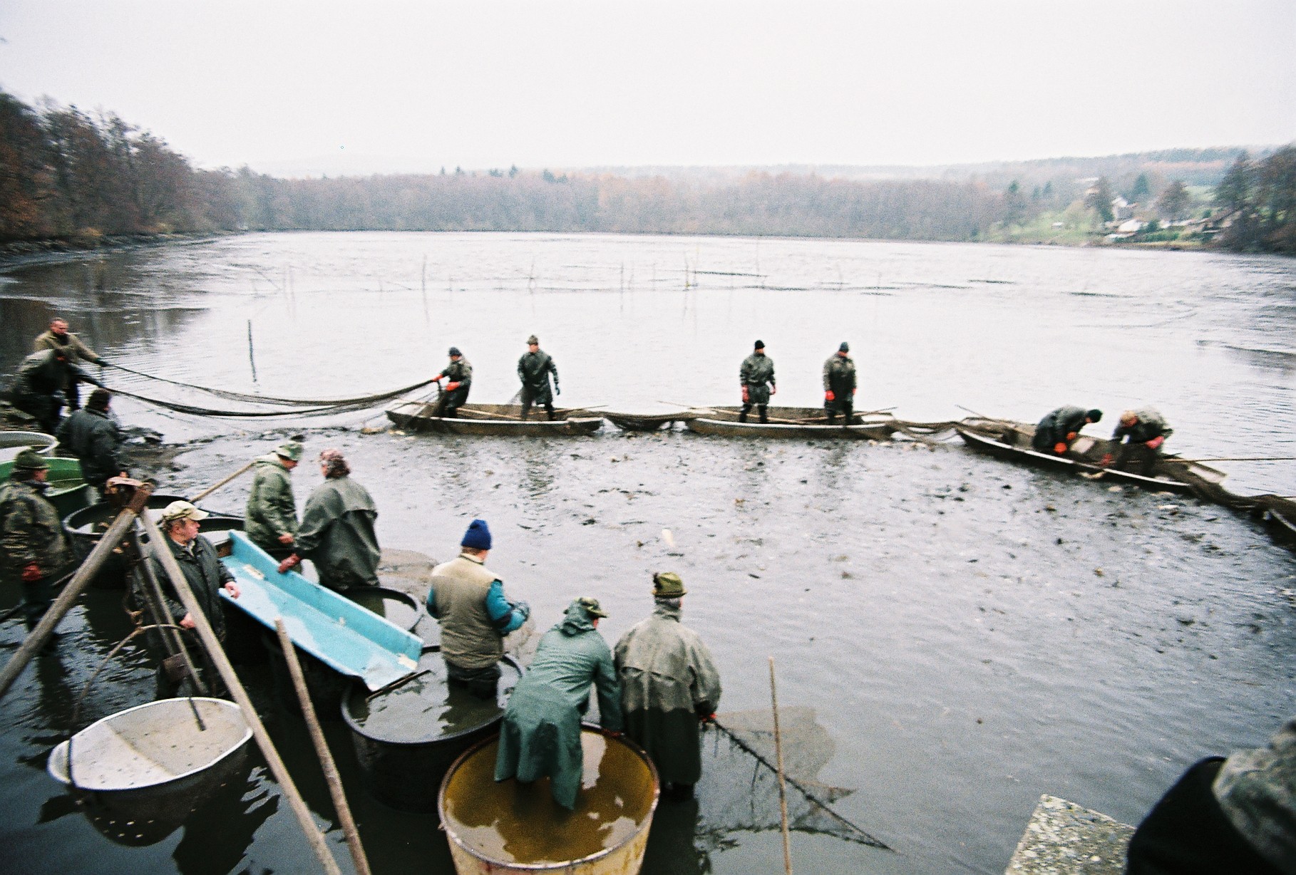 Výlov2012_011