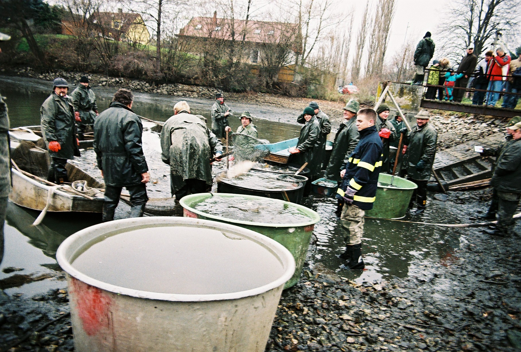 Výlov2012_033