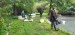 IMG-20251006-WA0014
